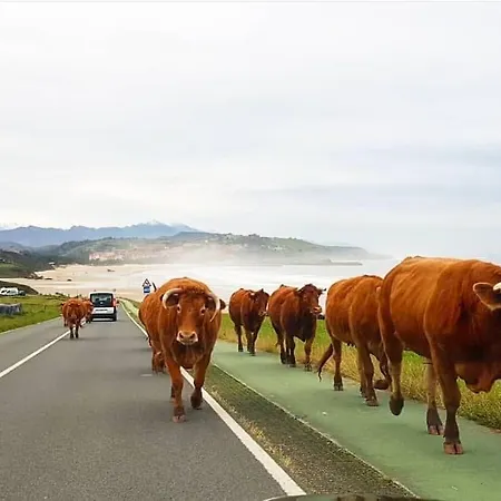 Appartement Terraza Y Piscina Con Vistas Espectaculares Al Mar Parking Cubierto San Vicente De La Barquera