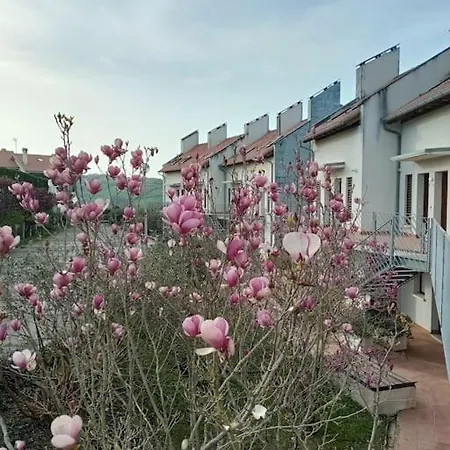 Appartement Terraza Y Piscina Con Vistas Espectaculares Al Mar Parking Cubierto San Vicente De La Barquera