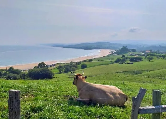 Terraza Y Piscina Con Vistas Espectaculares Al Mar Parking Cubierto