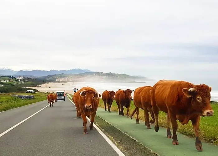 Apartamento Terraza Y Piscina Con Vistas Espectaculares Al Mar Parking Cubierto San Vicente De La Barquera