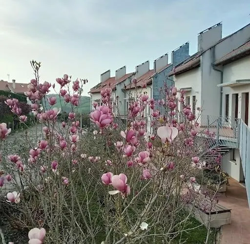 Apartamento Terraza Y Piscina Con Vistas Espectaculares Al Mar Parking Cubierto San Vicente De La Barquera
